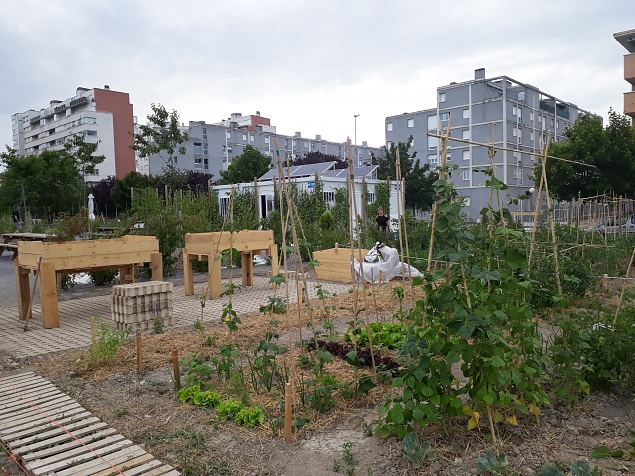   Vitoria (Hispaania) Lakua linnaosa �koloogiline kogukonna aed teisel eluaastal juuli 2019