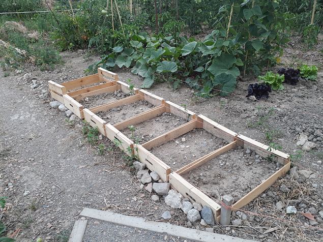   Vitoria (Hispaania) Lakua linnaosa �koloogiline kogukonna aed teisel eluaastal juuli 2019