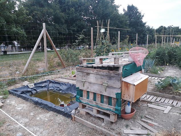   Vitoria (Hispaania) Lakua linnaosa �koloogiline kogukonna aed teisel eluaastal juuli 2019