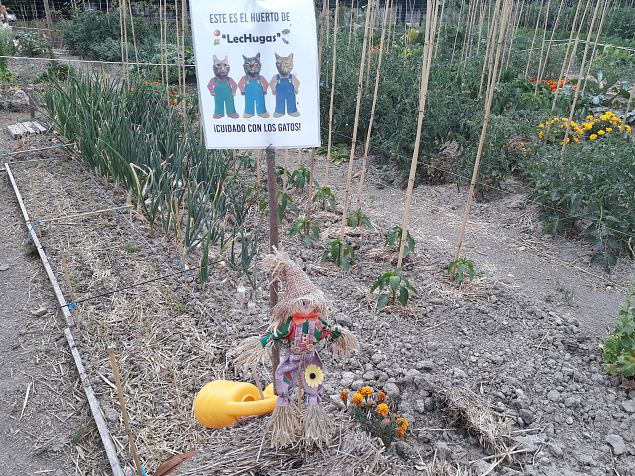   Vitoria (Hispaania) Lakua linnaosa �koloogiline kogukonna aed teisel eluaastal juuli 2019