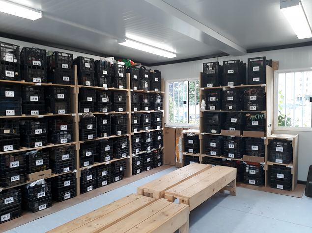   Vitoria (Hispaania) Lakua linnaosa �koloogiline kogukonna aed teisel eluaastal juuli 2019