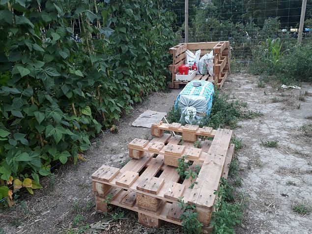   Vitoria (Hispaania) Lakua linnaosa �koloogiline kogukonna aed teisel eluaastal juuli 2019