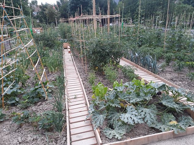   Vitoria (Hispaania) Lakua linnaosa �koloogiline kogukonna aed teisel eluaastal juuli 2019