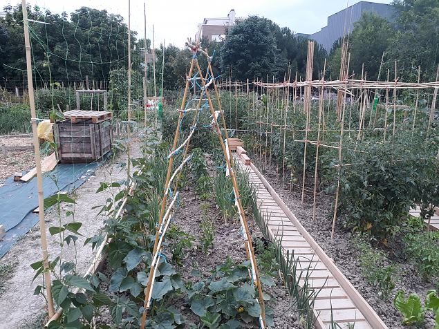   Vitoria (Hispaania) Lakua linnaosa �koloogiline kogukonna aed teisel eluaastal juuli 2019