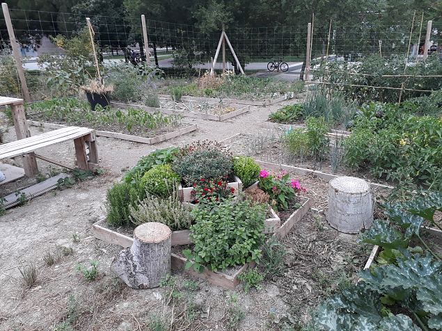   Vitoria (Hispaania) Lakua linnaosa �koloogiline kogukonna aed teisel eluaastal juuli 2019