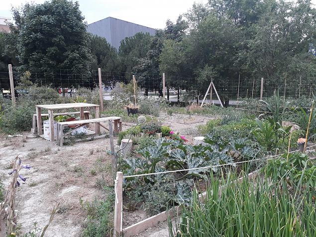   Vitoria (Hispaania) Lakua linnaosa �koloogiline kogukonna aed teisel eluaastal juuli 2019