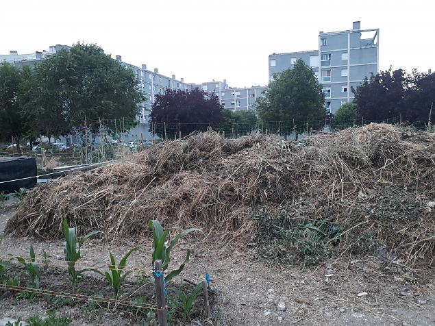   Vitoria (Hispaania) Lakua linnaosa �koloogiline kogukonna aed teisel eluaastal juuli 2019