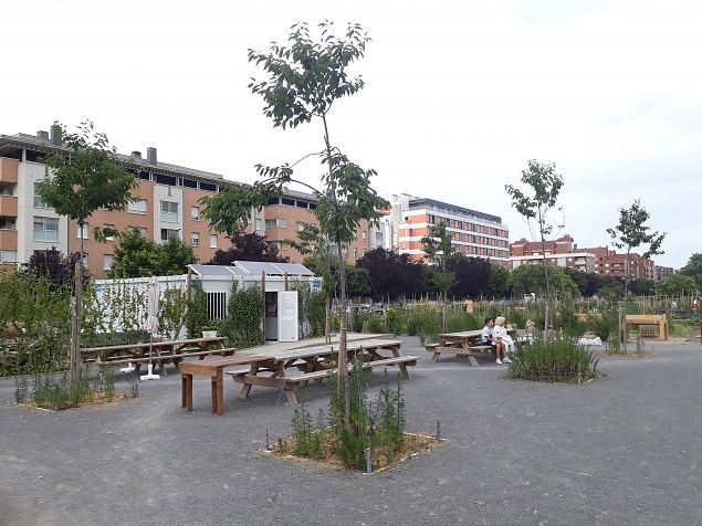   Vitoria (Hispaania) Lakua linnaosa �koloogiline kogukonna aed teisel eluaastal juuli 2019