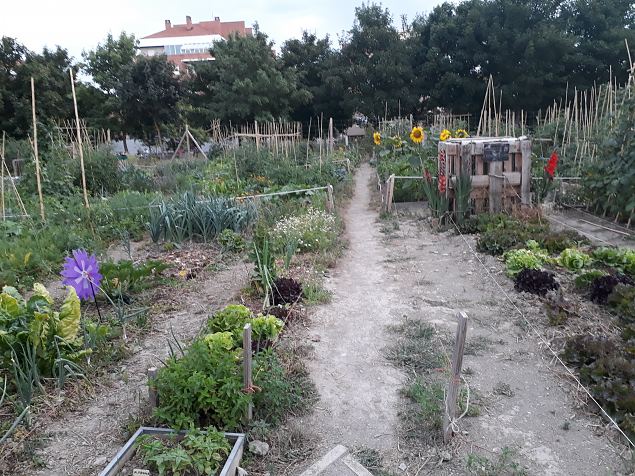   Vitoria (Hispaania) Lakua linnaosa �koloogiline kogukonna aed teisel eluaastal juuli 2019