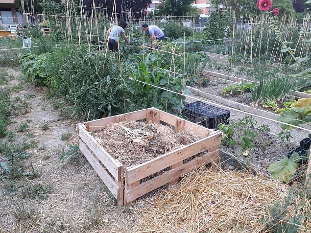   Vitoria (Hispaania) Lakua linnaosa �koloogiline kogukonna aed teisel eluaastal juuli 2019