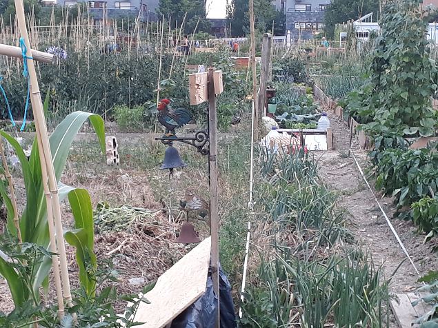   Vitoria (Hispaania) Lakua linnaosa �koloogiline kogukonna aed teisel eluaastal juuli 2019