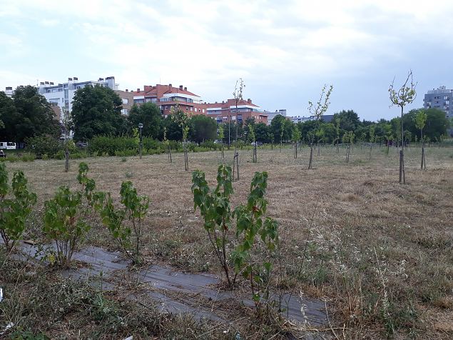   Vitoria (Hispaania) Lakua linnaosa �koloogiline kogukonna aed teisel eluaastal juuli 2019