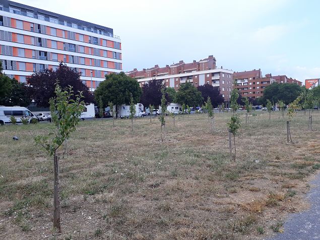   Vitoria (Hispaania) Lakua linnaosa �koloogiline kogukonna aed teisel eluaastal juuli 2019