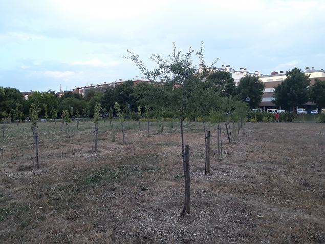   Vitoria (Hispaania) Lakua linnaosa �koloogiline kogukonna aed teisel eluaastal juuli 2019