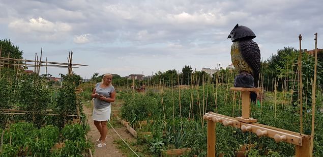   Vitoria (Hispaania) Lakua linnaosa �koloogiline kogukonna aed teisel eluaastal juuli 2019