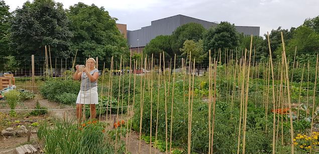   Vitoria (Hispaania) Lakua linnaosa �koloogiline kogukonna aed teisel eluaastal juuli 2019