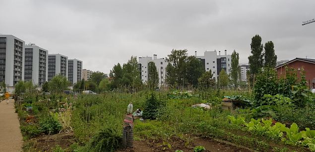   Vitoria Zabalgana linnaosa koloogiline kogukonna aed neljandal eluaastal juuli 2019