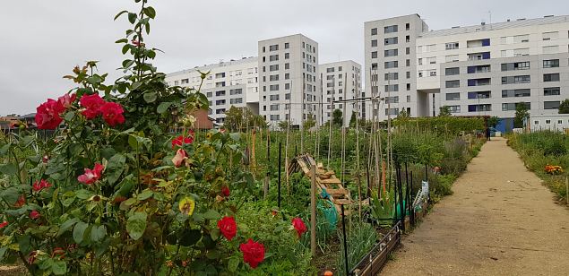   Vitoria Zabalgana linnaosa koloogiline kogukonna aed neljandal eluaastal juuli 2019