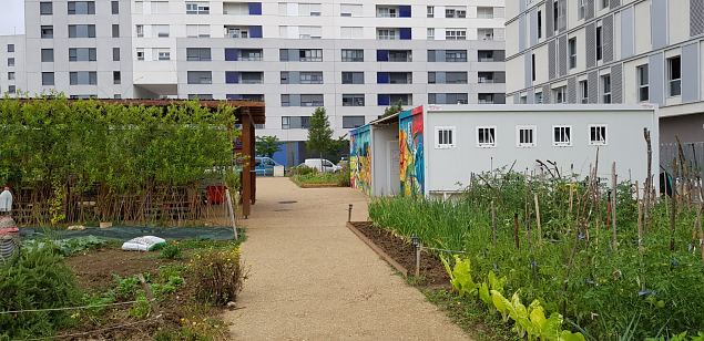   Vitoria Zabalgana linnaosa koloogiline kogukonna aed neljandal eluaastal juuli 2019