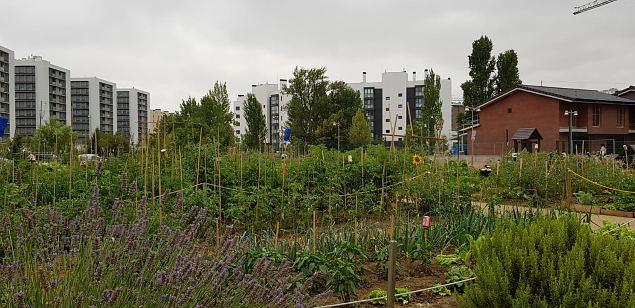   Vitoria Zabalgana linnaosa koloogiline kogukonna aed neljandal eluaastal juuli 2019