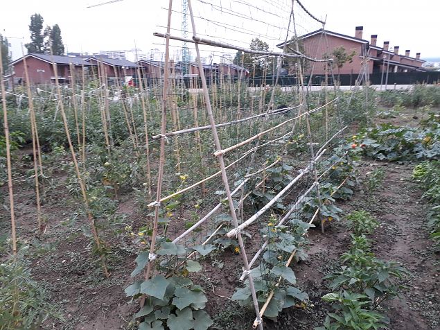   Vitoria Zabalgana linnaosa koloogiline kogukonna aed neljandal eluaastal juuli 2019