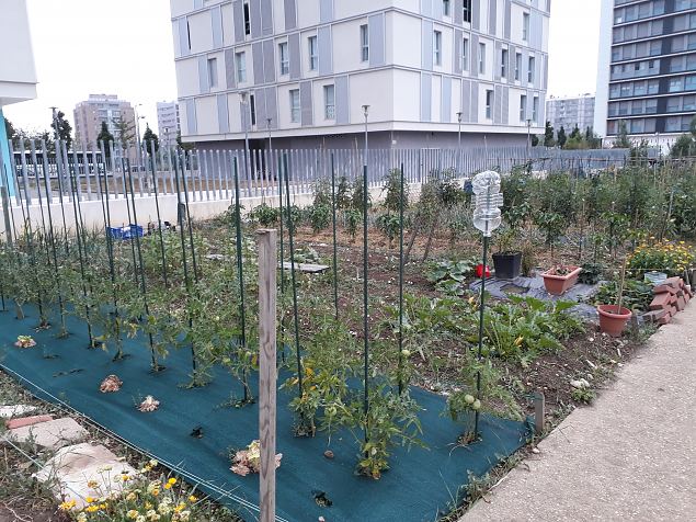   Vitoria Zabalgana linnaosa koloogiline kogukonna aed neljandal eluaastal juuli 2019