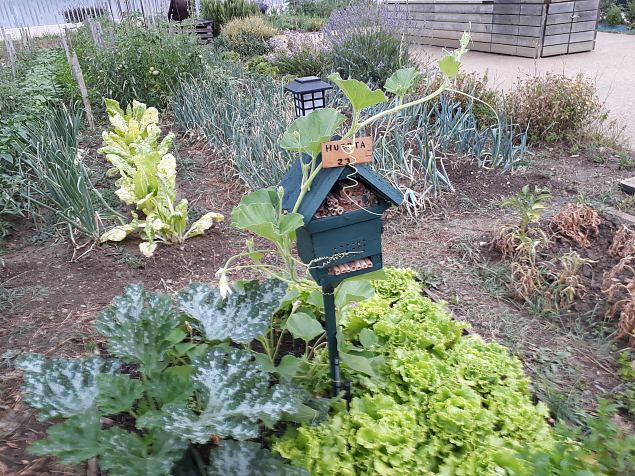   Vitoria Zabalgana linnaosa �koloogiline kogukonna aed neljandal eluaastal juuli 2019