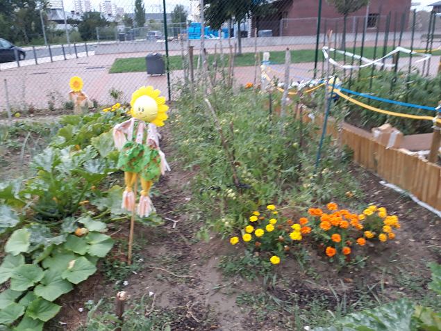   Vitoria Zabalgana linnaosa koloogiline kogukonna aed neljandal eluaastal juuli 2019