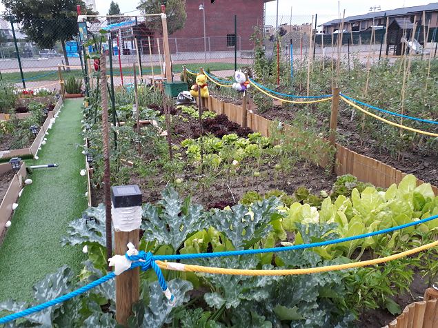   Vitoria Zabalgana linnaosa koloogiline kogukonna aed neljandal eluaastal juuli 2019