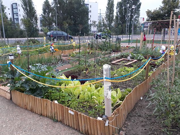   Vitoria Zabalgana linnaosa �koloogiline kogukonna aed neljandal eluaastal juuli 2019