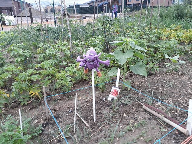   Vitoria Zabalgana linnaosa �koloogiline kogukonna aed neljandal eluaastal juuli 2019