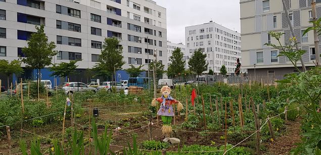   Vitoria Zabalgana linnaosa koloogiline kogukonna aed neljandal eluaastal juuli 2019