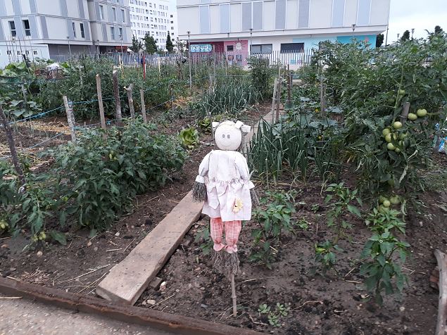   Vitoria Zabalgana linnaosa �koloogiline kogukonna aed neljandal eluaastal juuli 2019