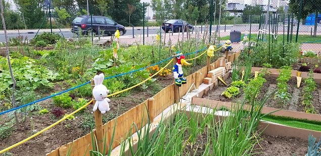   Vitoria Zabalgana linnaosa koloogiline kogukonna aed neljandal eluaastal juuli 2019