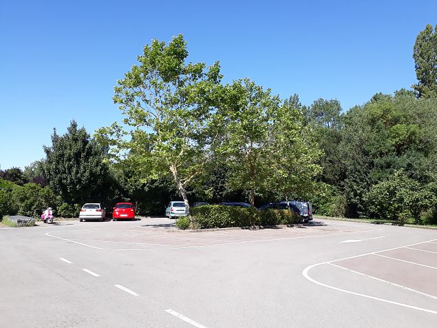   Vitoria Abetxuko linnaosa kogukonna aed juuli 2019