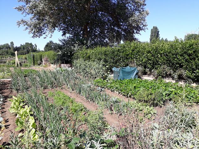   Vitoria Abetxuko linnaosa kogukonna aed juuli 2019