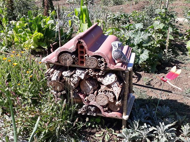   Vitoria Abetxuko linnaosa kogukonna aed juuli 2019