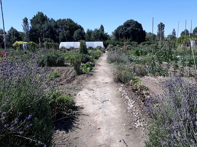   Vitoria Abetxuko linnaosa kogukonna aed juuli 2019