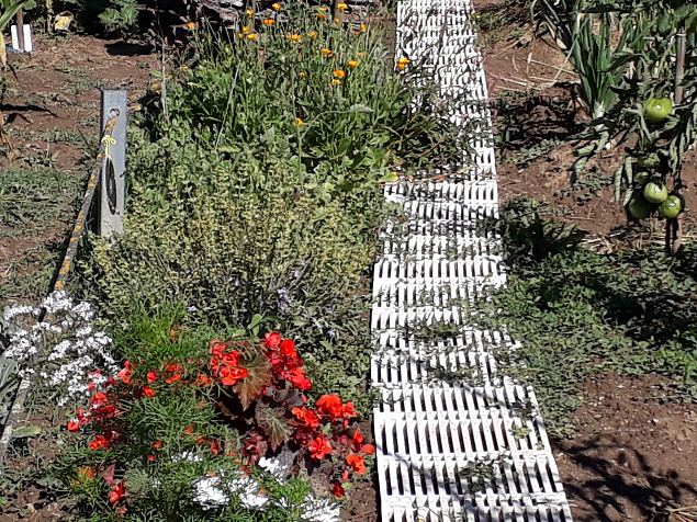   Vitoria Abetxuko linnaosa kogukonna aed juuli 2019