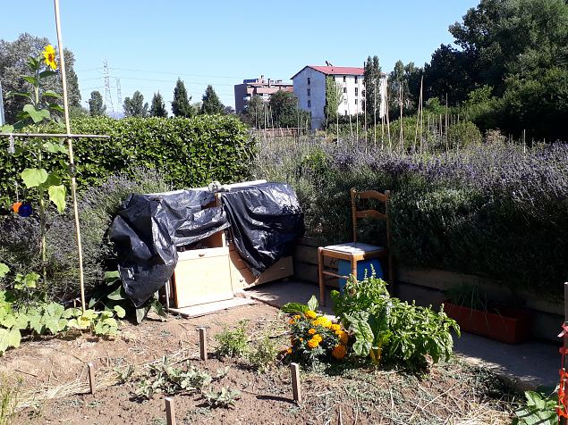   Vitoria Abetxuko linnaosa kogukonna aed juuli 2019