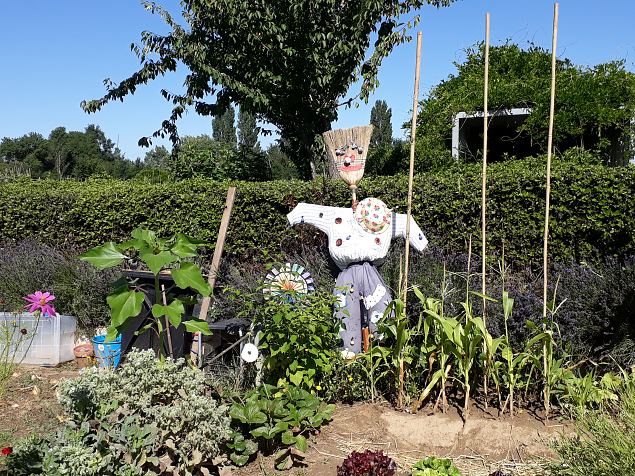   Vitoria Abetxuko linnaosa kogukonna aed juuli 2019