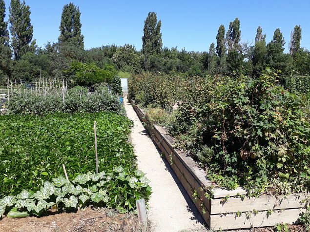   Vitoria Abetxuko linnaosa kogukonna aed juuli 2019