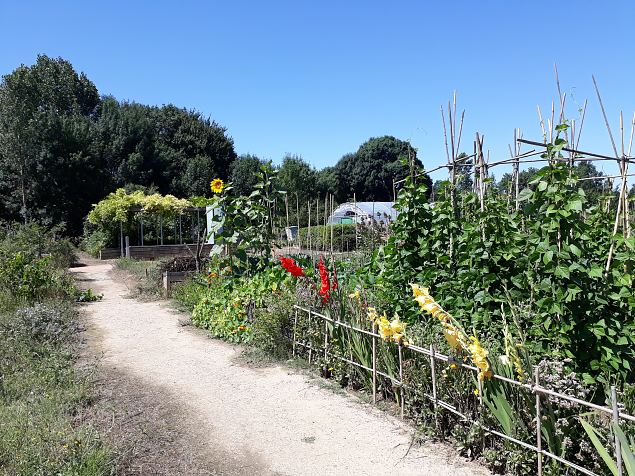   Vitoria Abetxuko linnaosa kogukonna aed juuli 2019