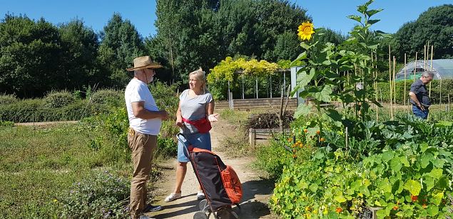   Vitoria Abetxuko linnaosa kogukonna aed juuli 2019