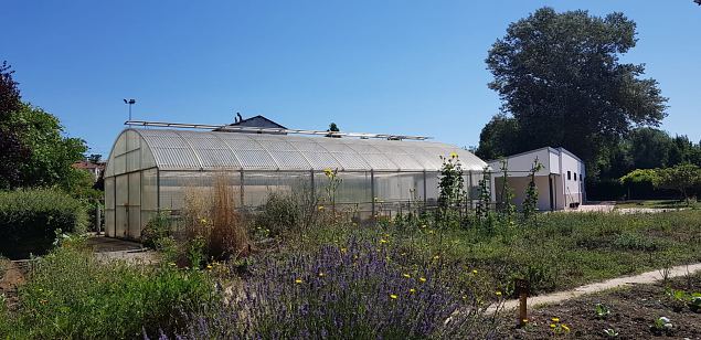   Vitoria Abetxuko linnaosa kogukonna aed juuli 2019