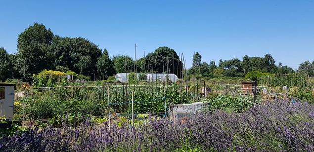   Vitoria Abetxuko linnaosa kogukonna aed juuli 2019