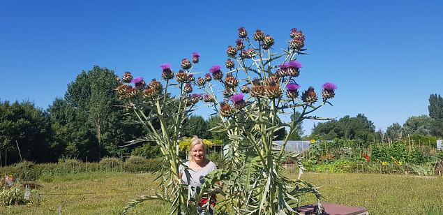   Vitoria Abetxuko linnaosa kogukonna aed juuli 2019