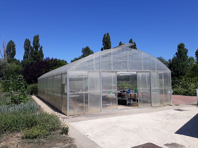   Vitoria Abetxuko linnaosa kogukonna aed juuli 2019