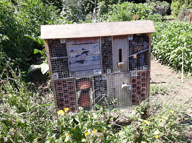   Vitoria Abetxuko linnaosa kogukonna aed juuli 2019