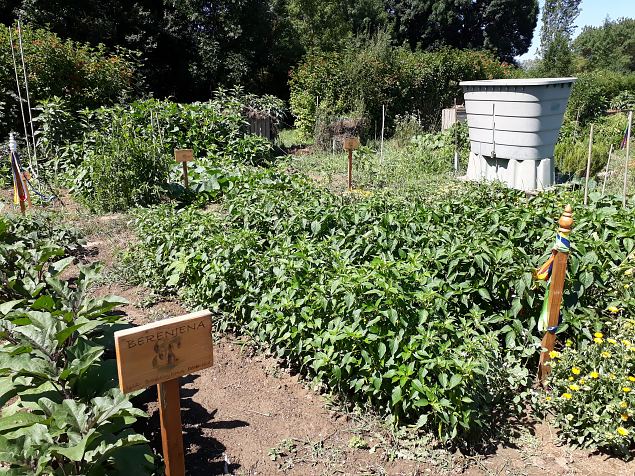   Vitoria Abetxuko linnaosa kogukonna aed juuli 2019